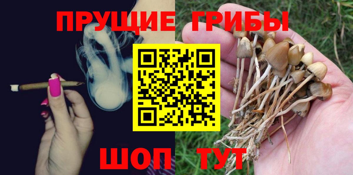 Галлюциногенные грибы ЛСД  Вход с VPN  Новотроицк 